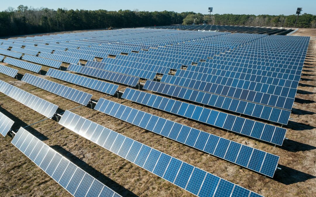 5 Biggest Solar Farms in the UK 2023