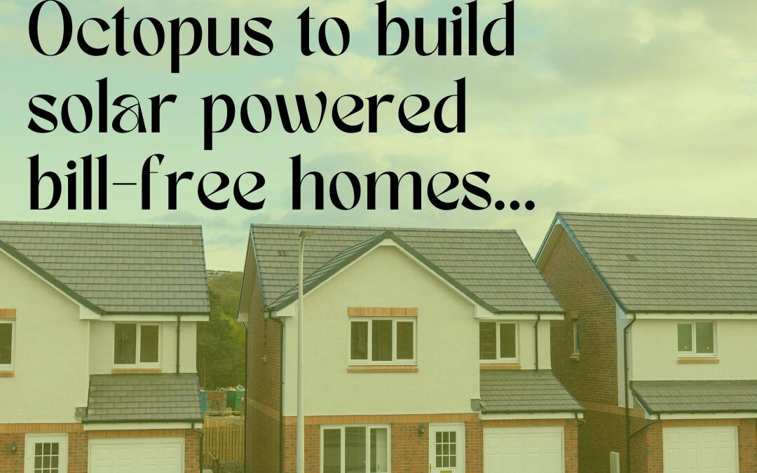 Octopus to build solar powered bill-free homes