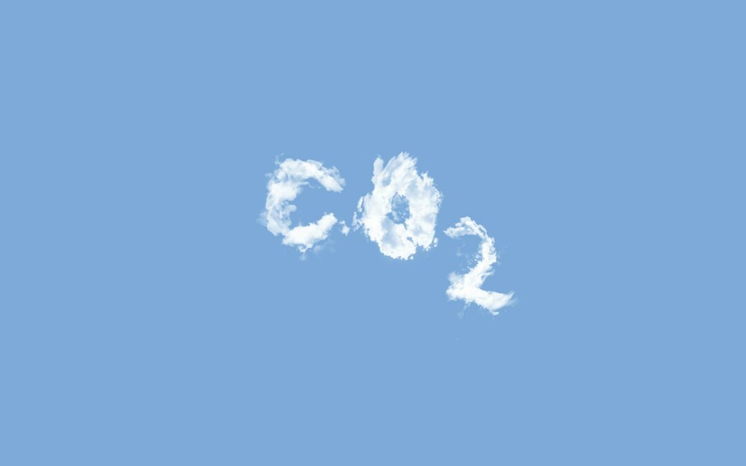 CO2 Carbon Credits